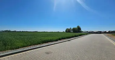 Terrain dans Srem, Pologne