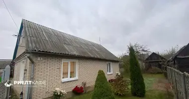 Haus in Baranawitschy, Belarus