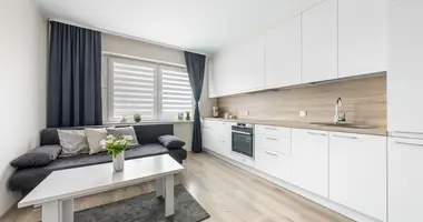 3 room apartment in Vilnius, Lithuania