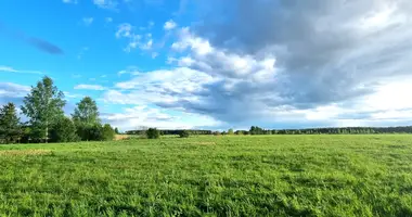 Terrain dans Jaunmarupe, Lettonie