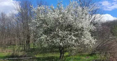 Plot of land in orbottyan, Hungary