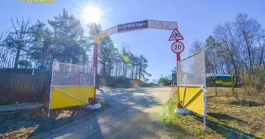 Участок земли в Голоцкий сельский Совет, Беларусь