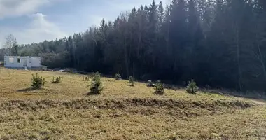 Участок земли в Гайненский сельский Совет, Беларусь