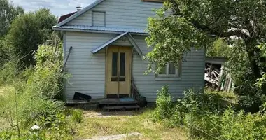 Haus in Lasanski sielski Saviet, Belarus