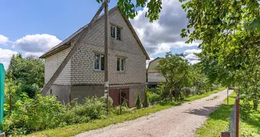 House in Piatryskauski sielski Saviet, Belarus