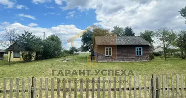 Дом в Борисы, Беларусь