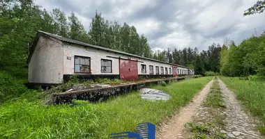 Gewerbefläche 760 m² in Novakolasauski sielski Saviet, Belarus