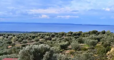 Gewerbefläche 200 m² in Polygyros, Griechenland