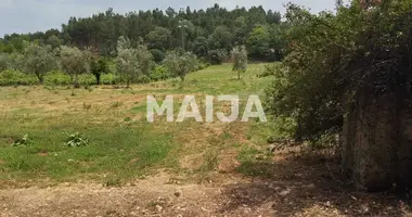 Działka w Ferreira do Zezere, Portugalia