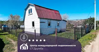 Haus in Starobinski sielski Saviet, Belarus
