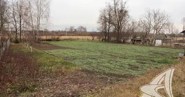 Grundstück in Tel minski siel ski Saviet, Weißrussland