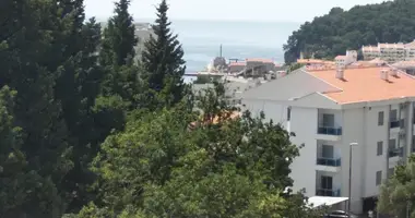 Квартира 2 комнаты в Петровац, Черногория