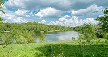 House in Kalviske, Lithuania