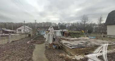 House in Brest, Belarus