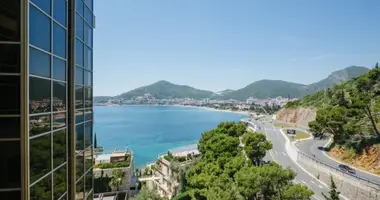 3 bedroom apartment in Montenegro