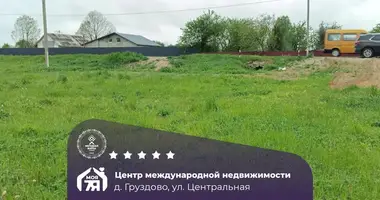 Haus in Palacanski sielski Saviet, Belarus