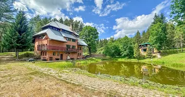 House in Smiltynai II, Lithuania