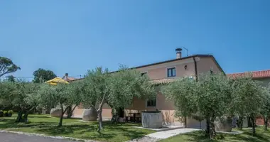 Hotel 500 m² in cepljani, Kroatien
