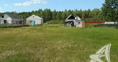 Parcela en Kamianica Zyravieckaja, Bielorrusia