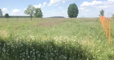 Dom w Piekalinski siel ski Saviet, Białoruś