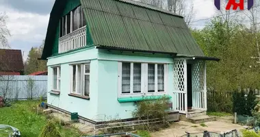 House in Januskavicki sielski Saviet, Belarus