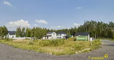 Plot of land in Zdanovicki sielski Saviet, Belarus