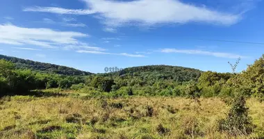 Plot of land in Zalaszanto, Hungary