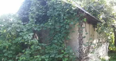 House in Kamarouka, Belarus