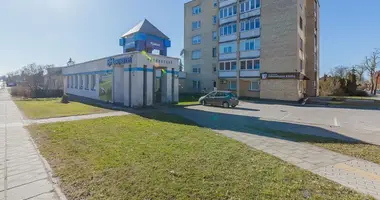 Commercial property 178 m² in Zaliukes, Lithuania