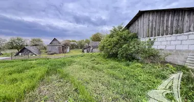 Casa en Turna Vialikaja, Bielorrusia