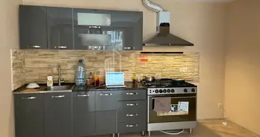 1 bedroom apartment in Tbilisi, Georgia