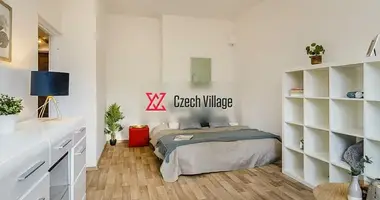 1 bedroom apartment in Prague, Czech Republic