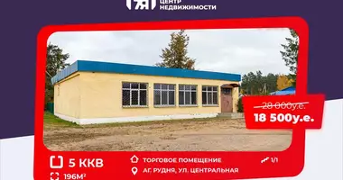 Shop 196 m² in Rudnya, Belarus