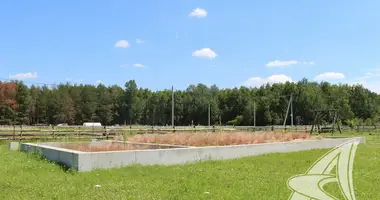 Grundstück in Radvanicki sielski Saviet, Weißrussland