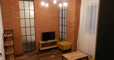 2 room apartment in Krakow, Poland