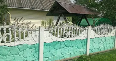 House in Liebiedzieuski sielski Saviet, Belarus