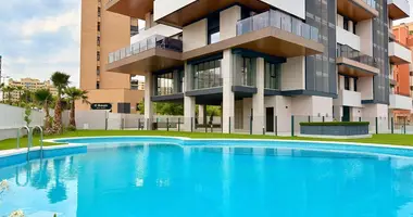 3 bedroom apartment in Alicante, Spain