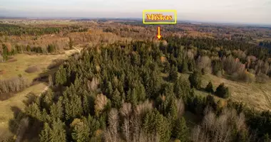Участок земли в Mikailiskes, Литва
