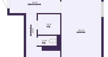 1 room apartment in Sienica, Belarus