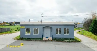 Коммерческое помещение 96 м² в Новоселье, Беларусь