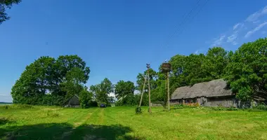 Casa en Didsode, Lituania