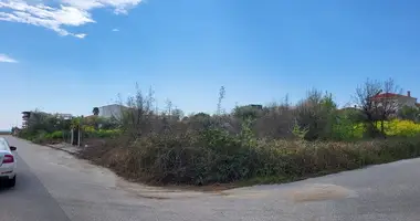 Terrain dans Sozopoli, Grèce