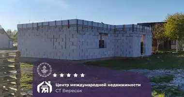 Parcela en Smilavicki sielski Saviet, Belarús