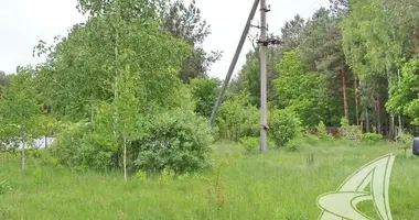 Grundstück in Brest, Weißrussland