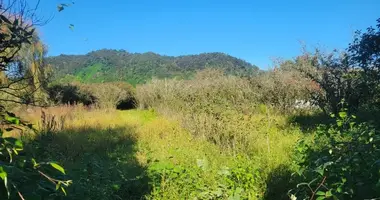 Parcela en Ozurgueti, Georgia