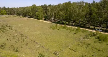 Terrain dans Nieczajna, Pologne