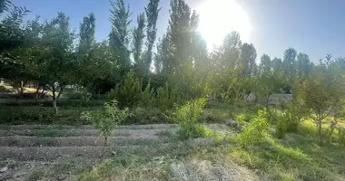 Участок земли в Фергана, Узбекистан