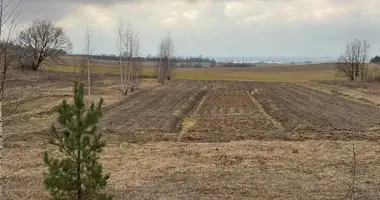 Terrain dans Drackauski sielski Saviet, Bélarus