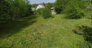 House in Haranski sielski Saviet, Belarus