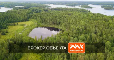 Grundstück in Melnikovskoe selskoe poselenie, Russland